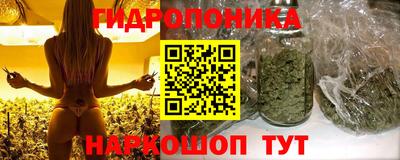 a pvp Пугачёв