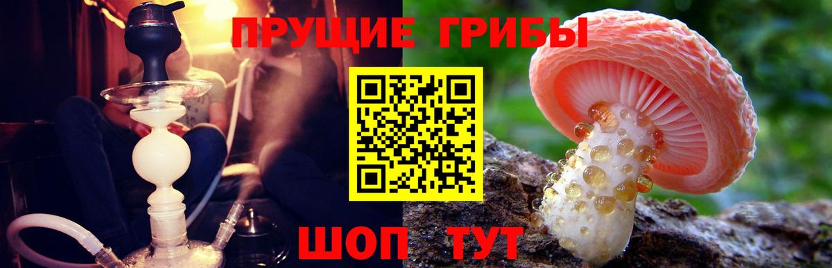 Псилоцибиновые грибы GOLDEN TEACHER Скопин